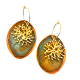 Argola Coral Millepora compridos